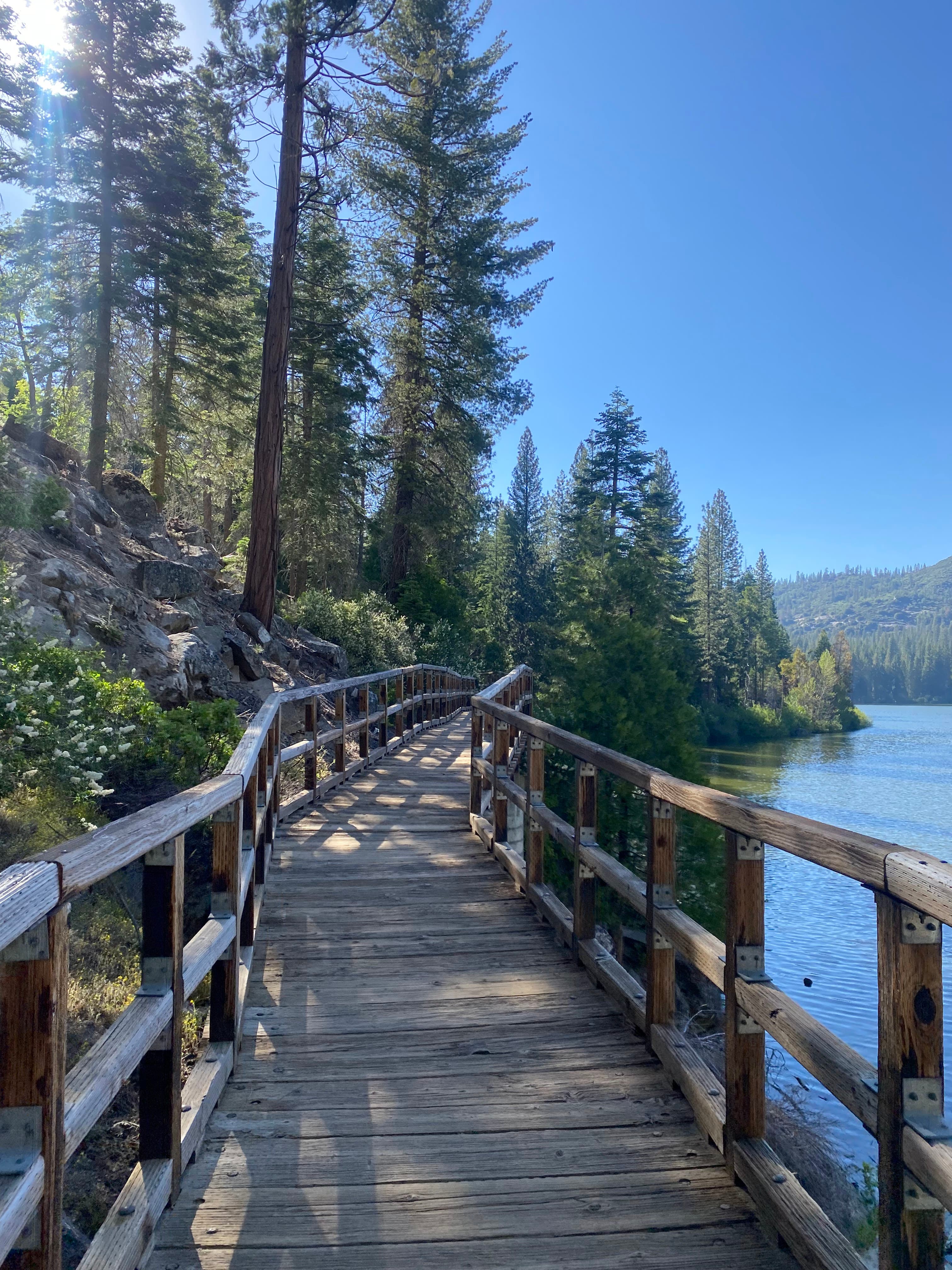 Lake boardwalk